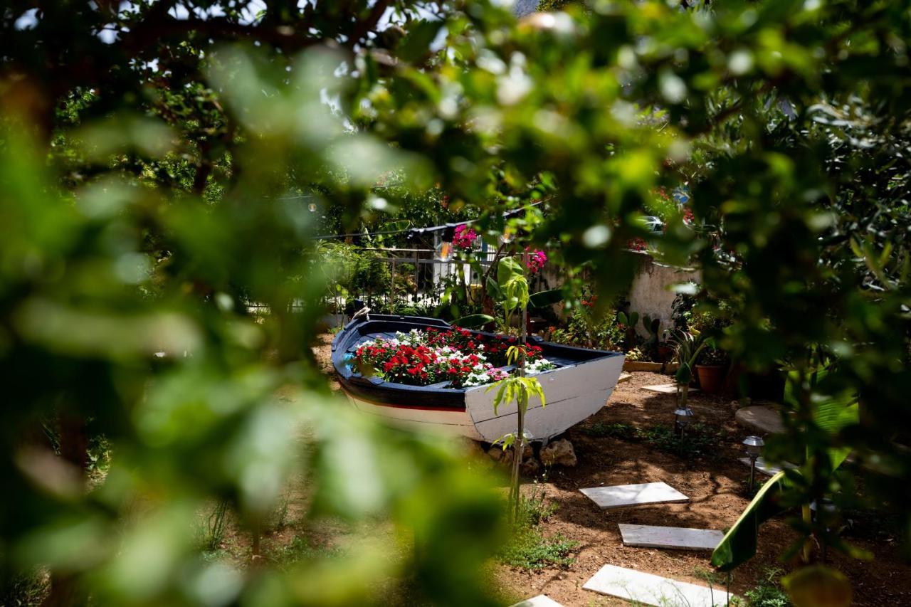 B&B Il Colibri San Vito Lo Capo Eksteriør billede